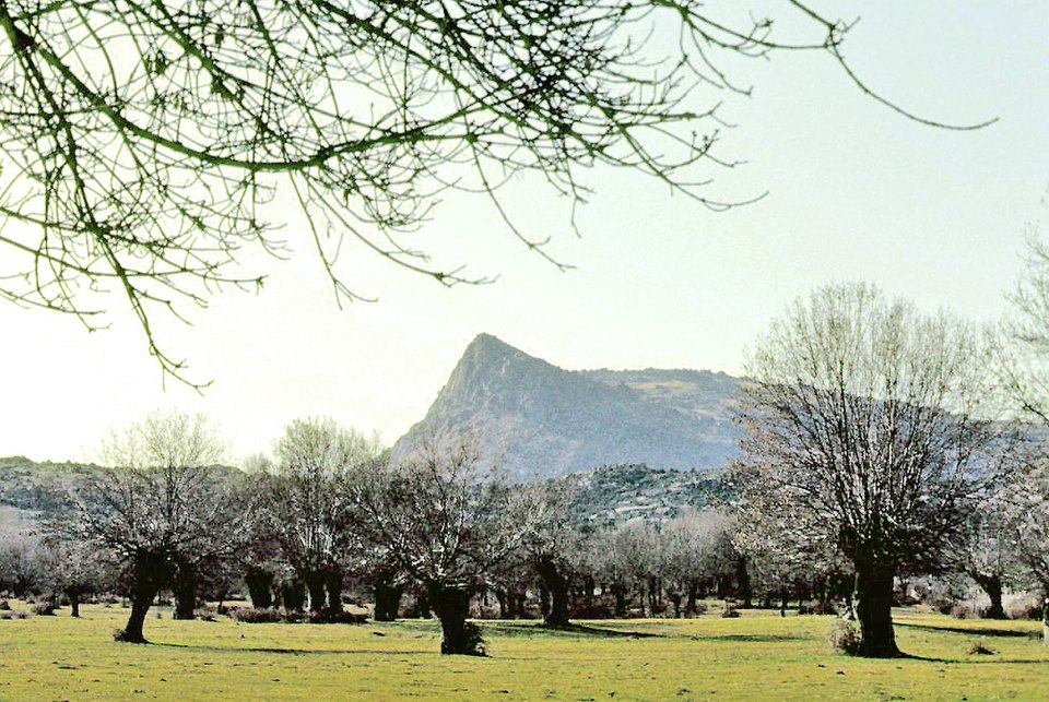Reparación de tejados y goteras en El Berrueco - Vista de la localidad
