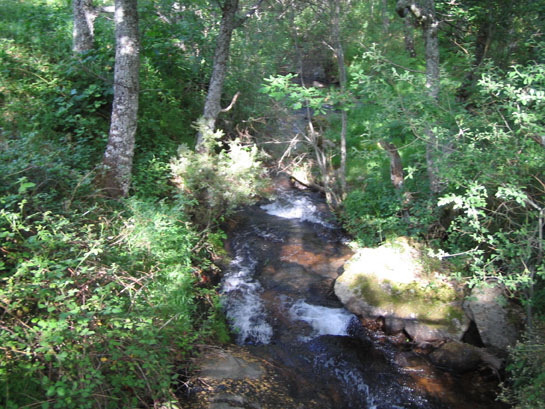 Reparación de tejados y goteras en La Acebeda - Vista de la localidad