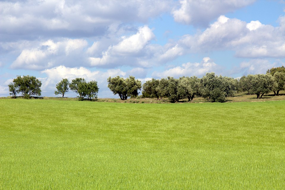 Reparación de tejados y goteras en Valdemoro - Vista de la localidad