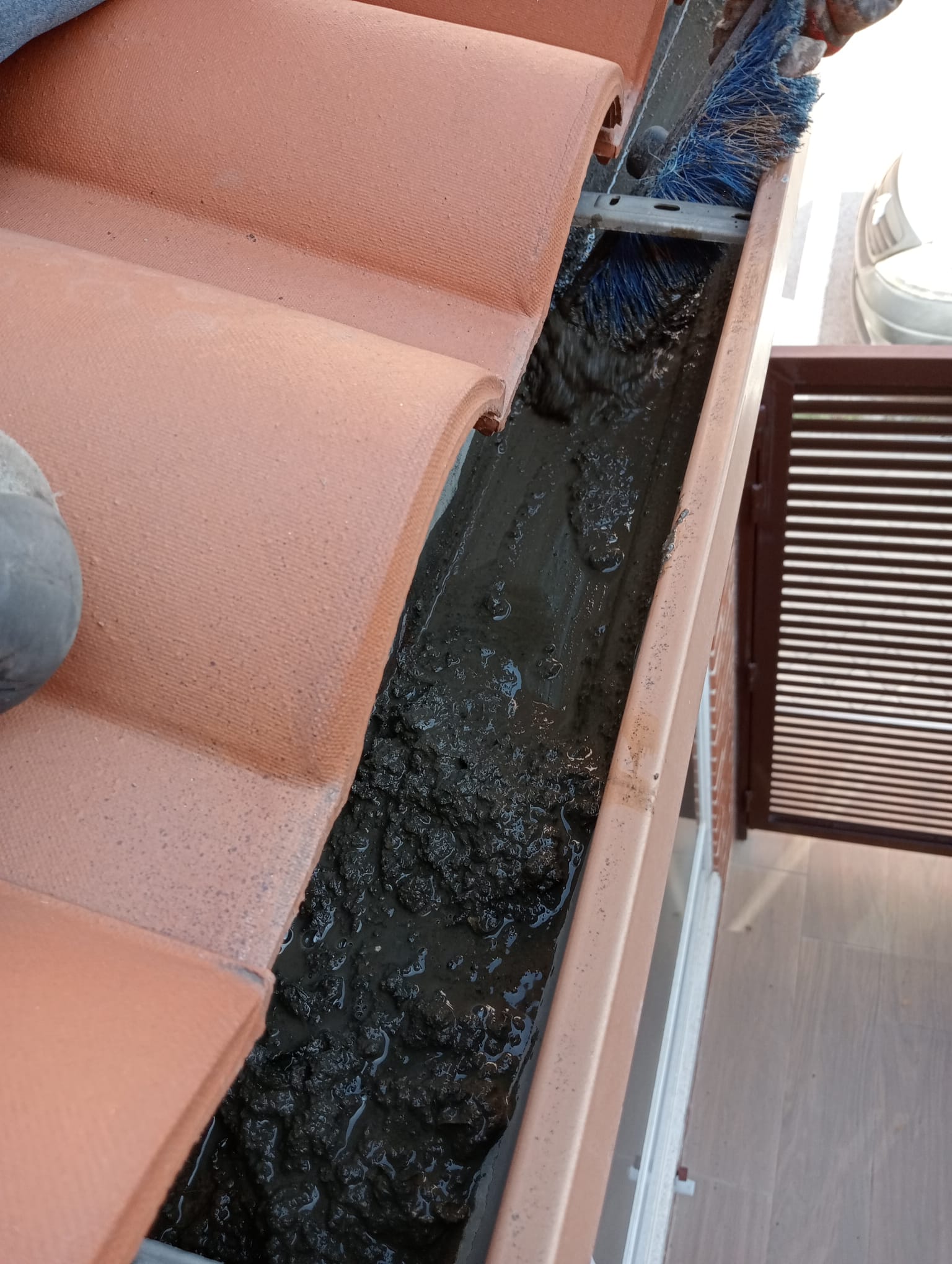 Limpieza de canalones 2